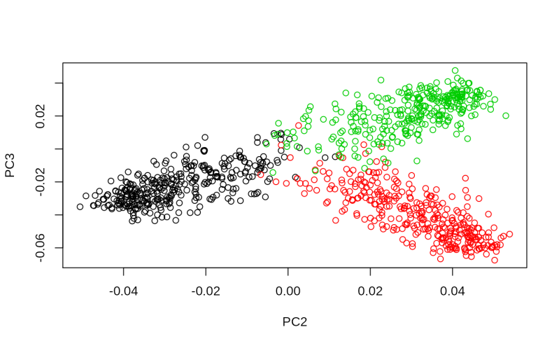 Causal Path Lab Github - City Picture Collection - Retina Quality