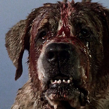 cujo