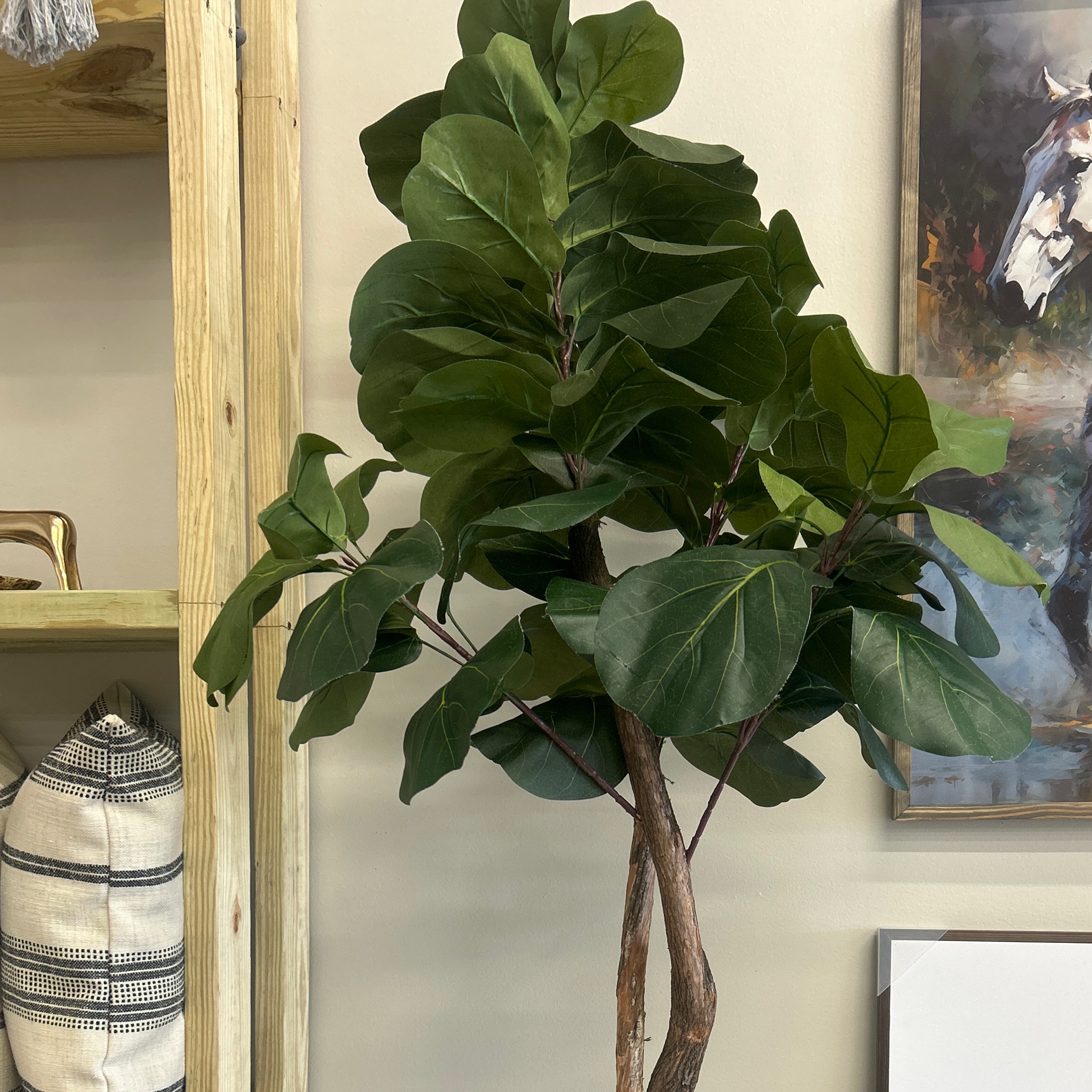 Floor Plant - Image 1