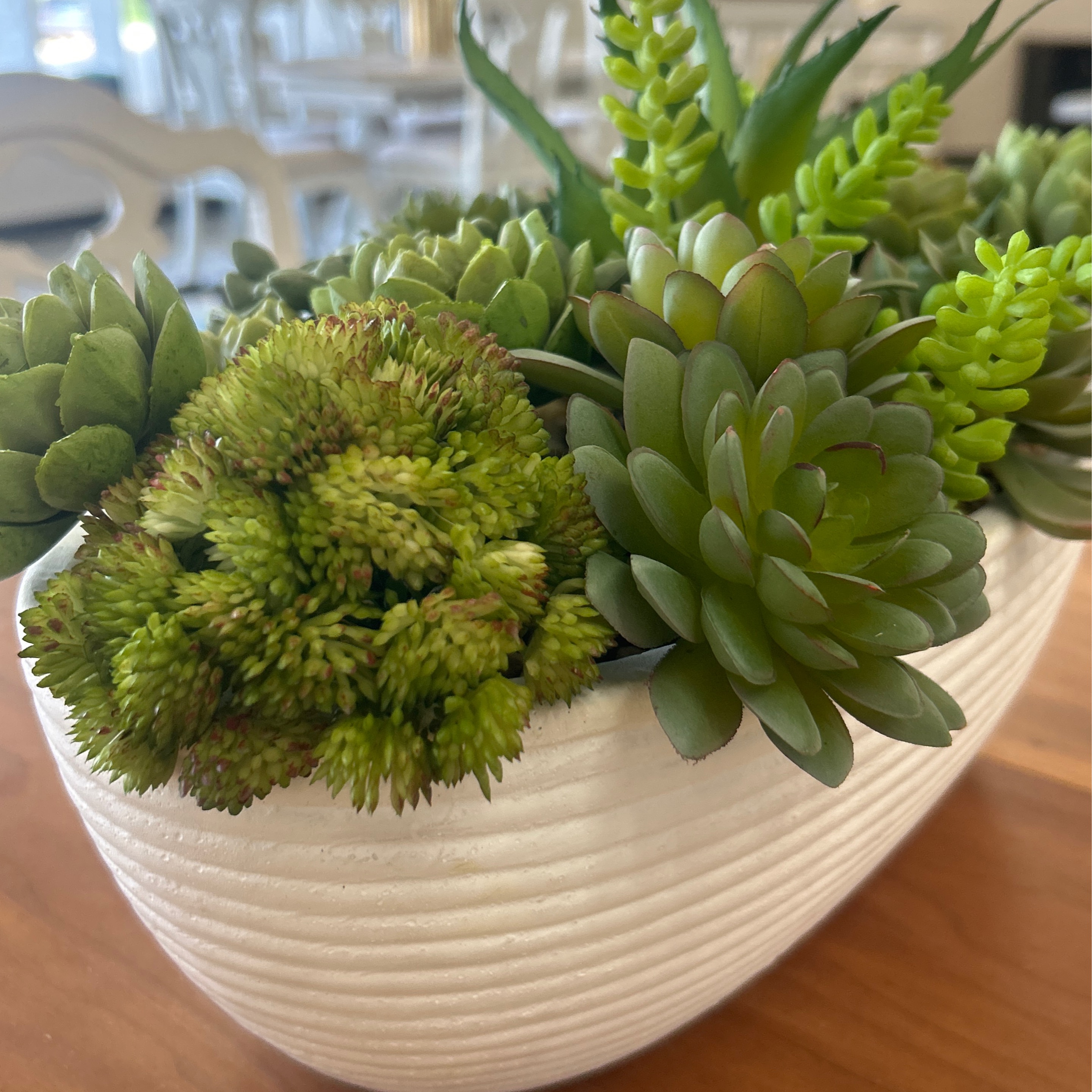 Table Plant - Image 1