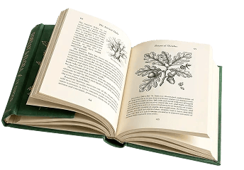 Open book with botanical illustrations