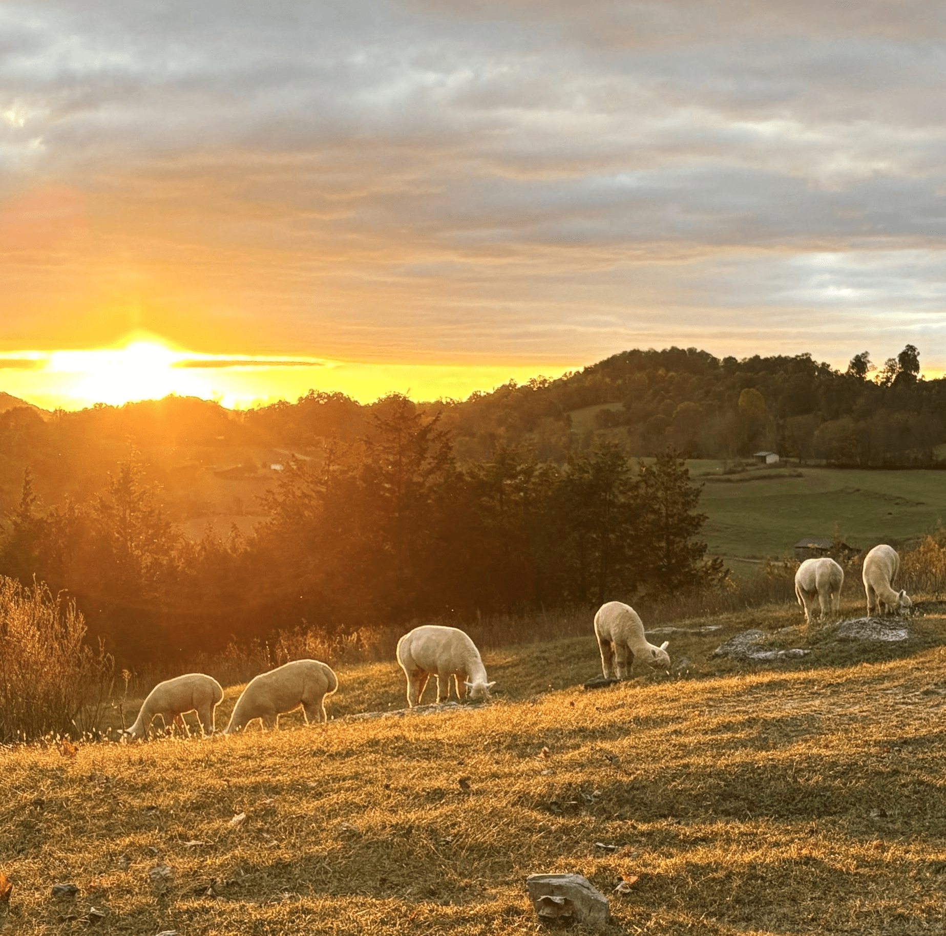 8 Reasons Why Carven Hills Is the Perfect Weekend Escape