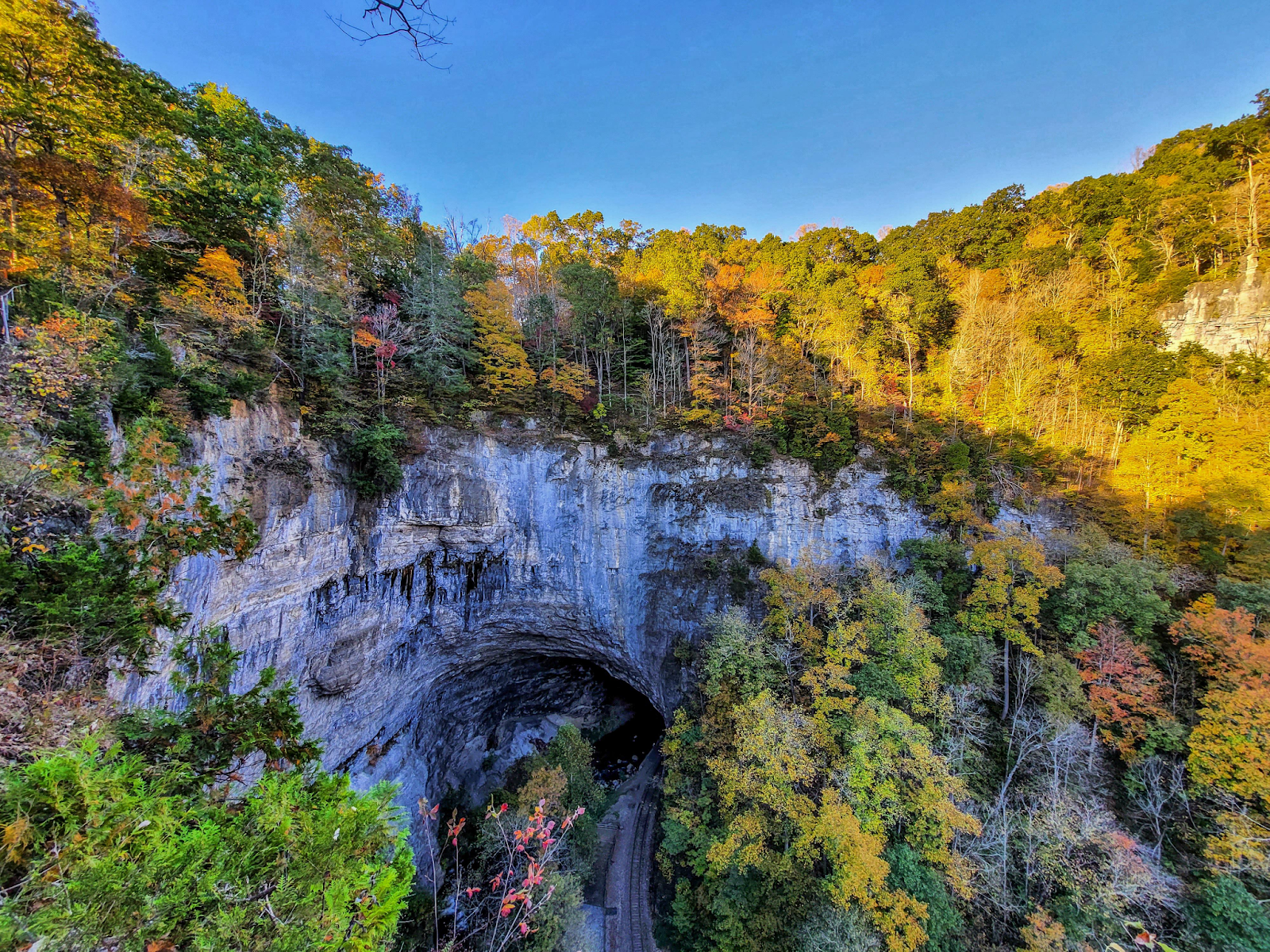 7 Things to Do Near Carven Hills, Virginia