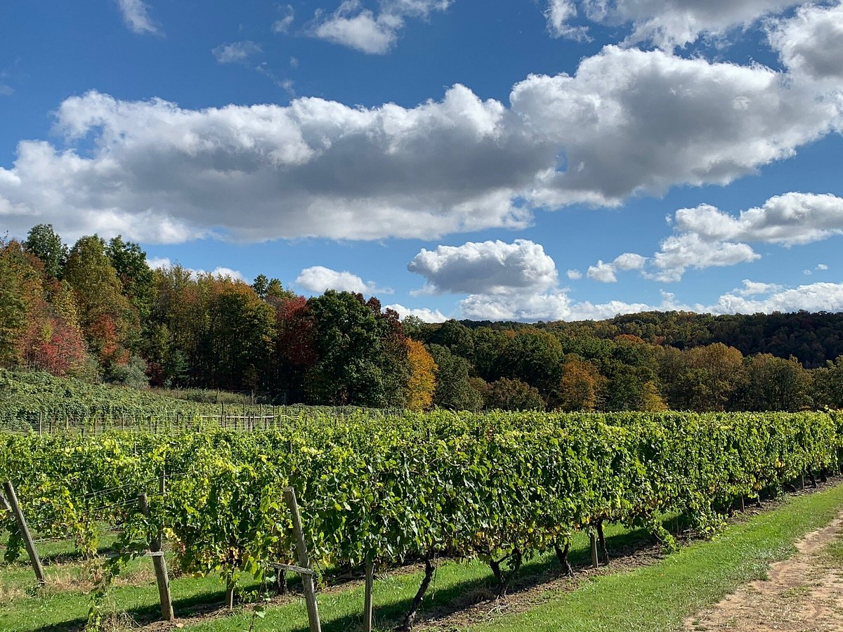 Virginia Wine & Farm Experiences: Taste, Tour, and Harvest Festivals