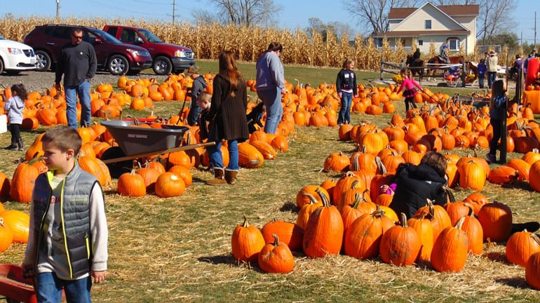 Carven Hills Virginia: Fall Festival 2025 & Farm Retreat Fun
