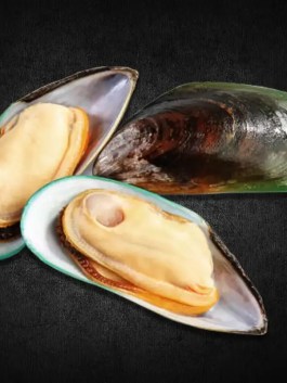 Mussel Meat