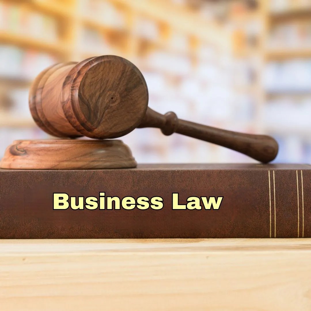 Business Law CA Foundation Papers