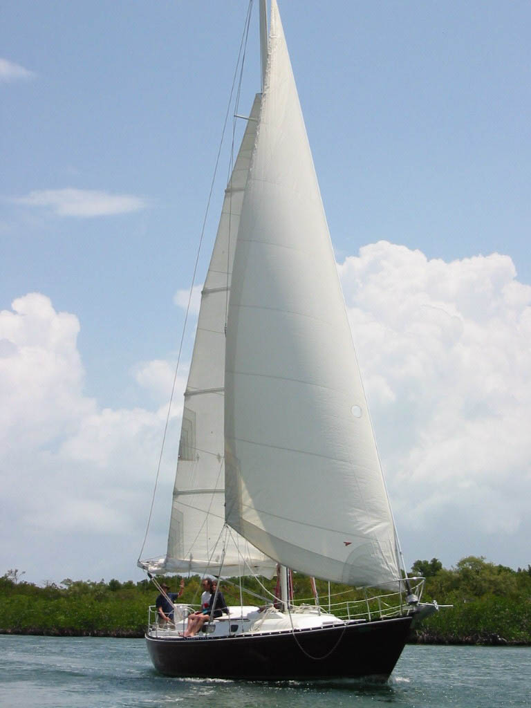 Grand Cayman Islands Stingray City Private Sailing And Snorkeling