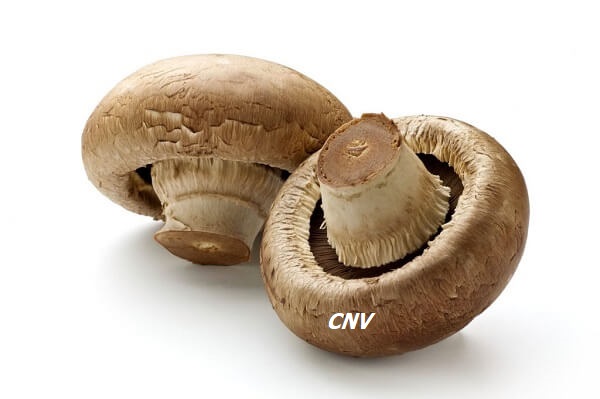 Ở đây hãy đặt cách điều chỉnh độ bão hoà và sắc màu của ảnh. CÃ´ng thá»©c: 8 cÃ¡ch cháº¿ biáº¿n náº¥m má»¡ Ä'Æ¡n giáº£n ngon miá»ng