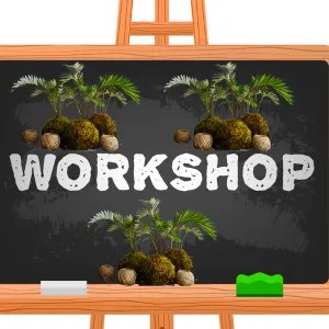 Đôi Nét Về Workshop Kokedama Và Ý Nghĩa Cùng 4 Giá Trị Cộng Đồng