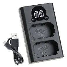 FB FZ-100 Battery