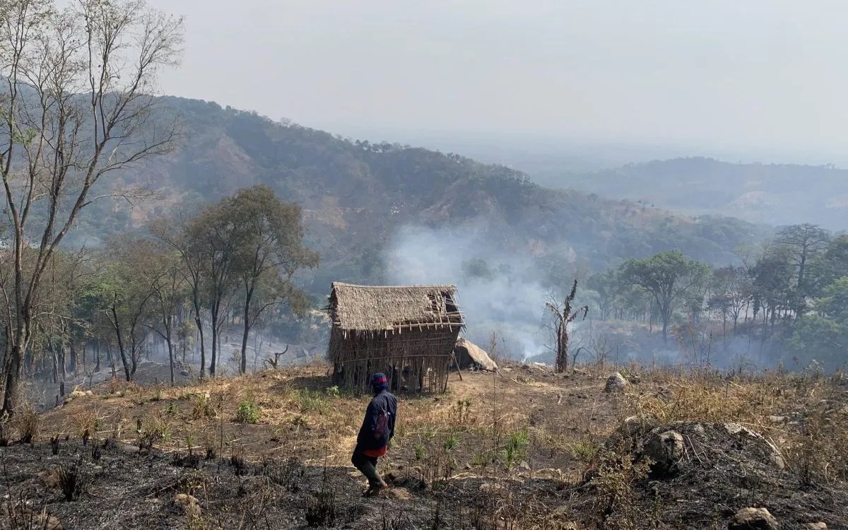 Man looking at a landscape smoldering in smoke after a burn.