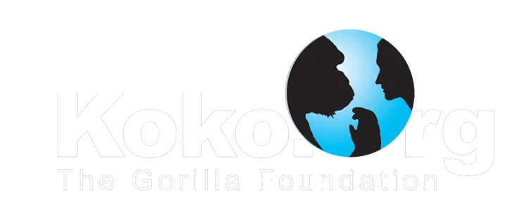 Koko.org logo
