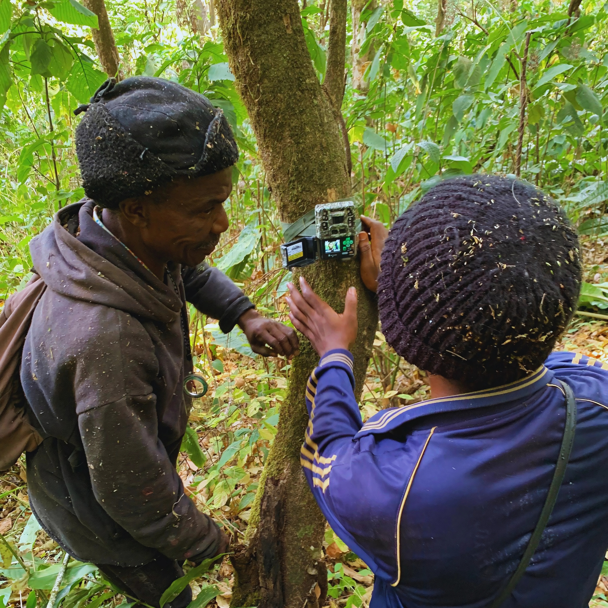 Two men setting up a wildife camera trap at eye-level on a tree.