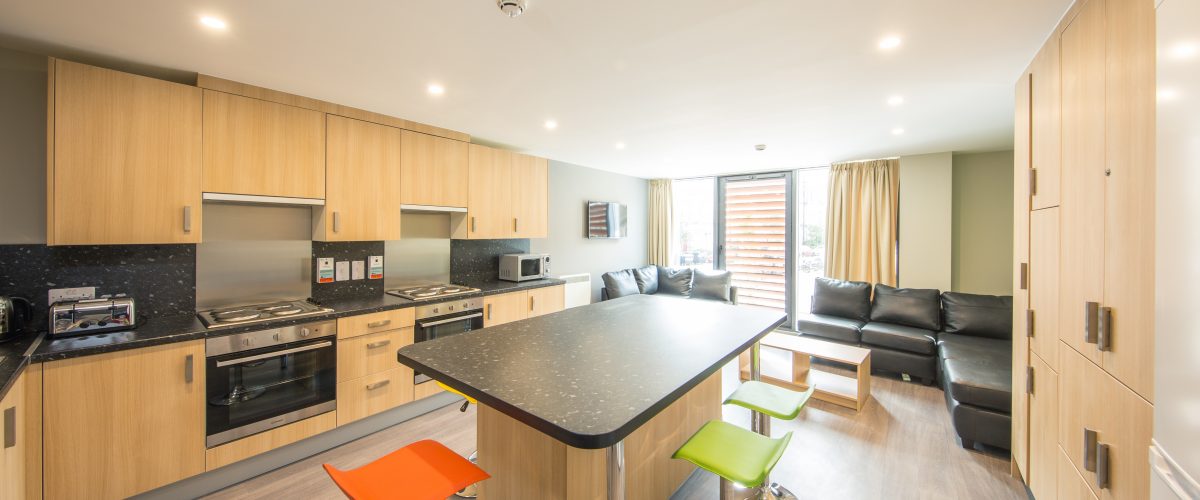 Edinburgh_St_Leonards_Completion-36