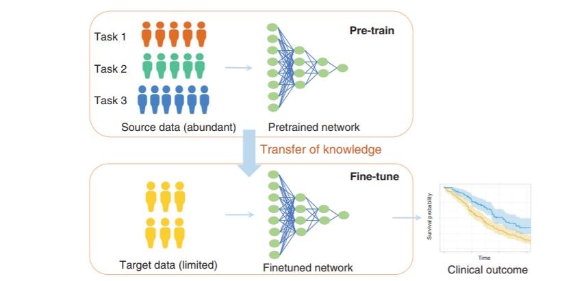 Pdf Meta Learning Initializations For Interactive Medical Image - Geometric Background Collection - High Resolution Quality