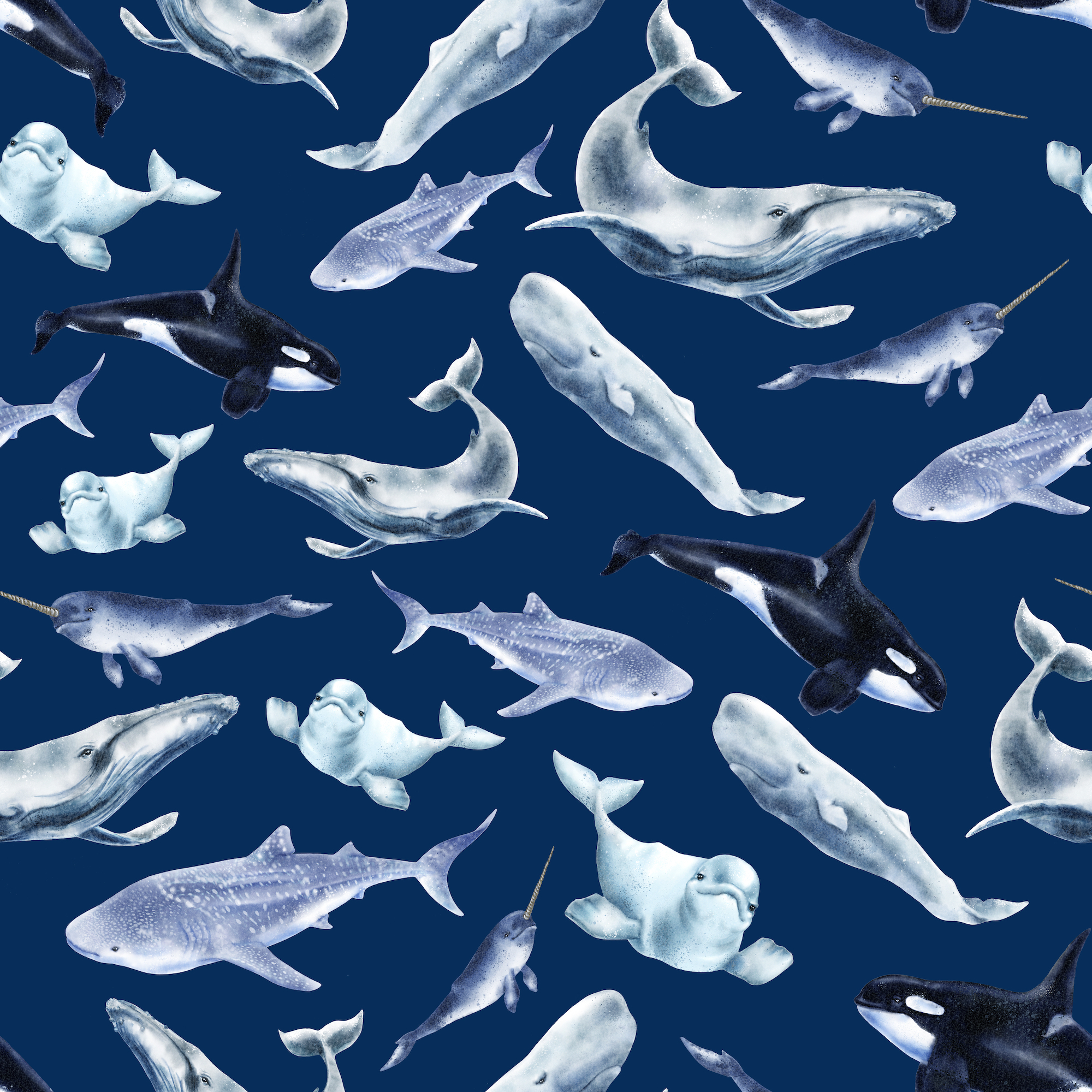 Hijodeorca