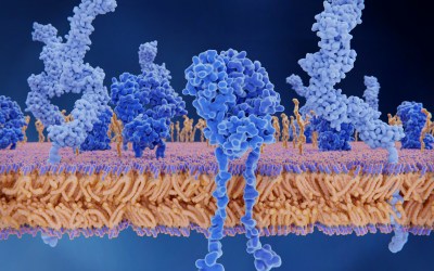 CCC research on CellCAD design of T-cell receptors and applications of quantum computing in synthetic biology