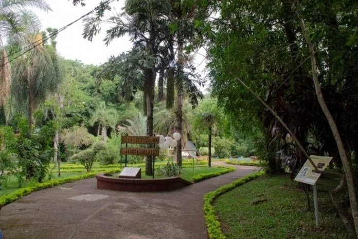 jbotanico
