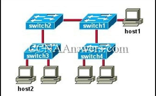CCNA 3 Module 7 V3.1 Answers