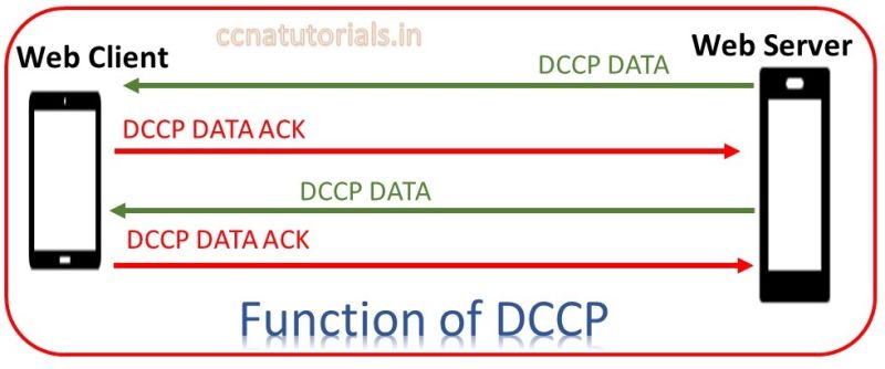 What Is Dccp Protocol - Best Minimal Pictures in Mobile