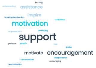 Word cloud of Tutors descriptors for LSAs