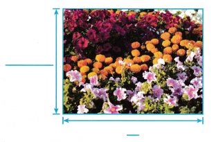 Into Math Grade 8 Module 3 Lesson 3 Answer Key Apply Linear Equations - Best Sunset Patterns in 4K