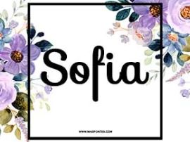 Download Sofia Fonts Maisfontes - Beautiful Full HD Colorful Photos | Free Download