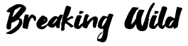 Breaking Wild Free Font Download Maisfontes