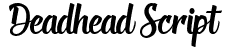 Deadhead Script - Premium Nature Design Gallery - Ultra HD