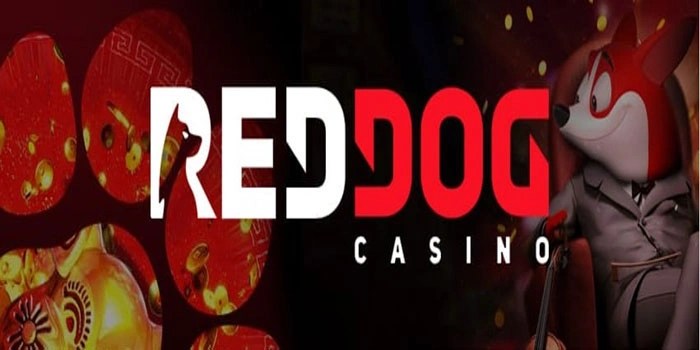 Tips Mudah Untuk Meraih Cuan Besar Di Casino Red Dog