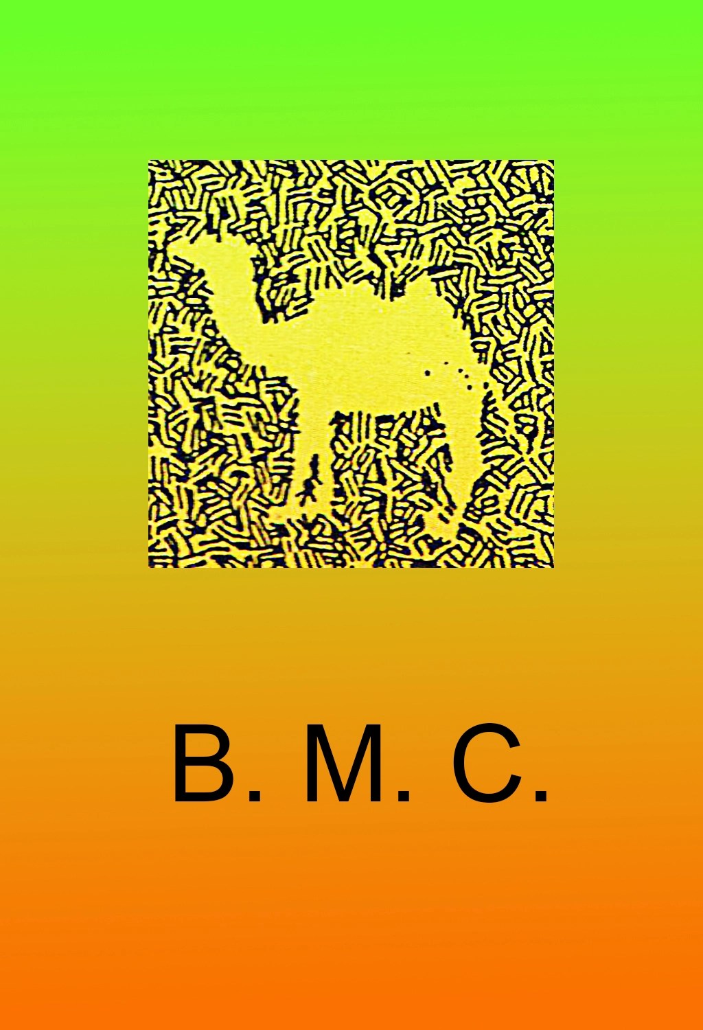 Behind My Camel kassettebånds cover, demo 2