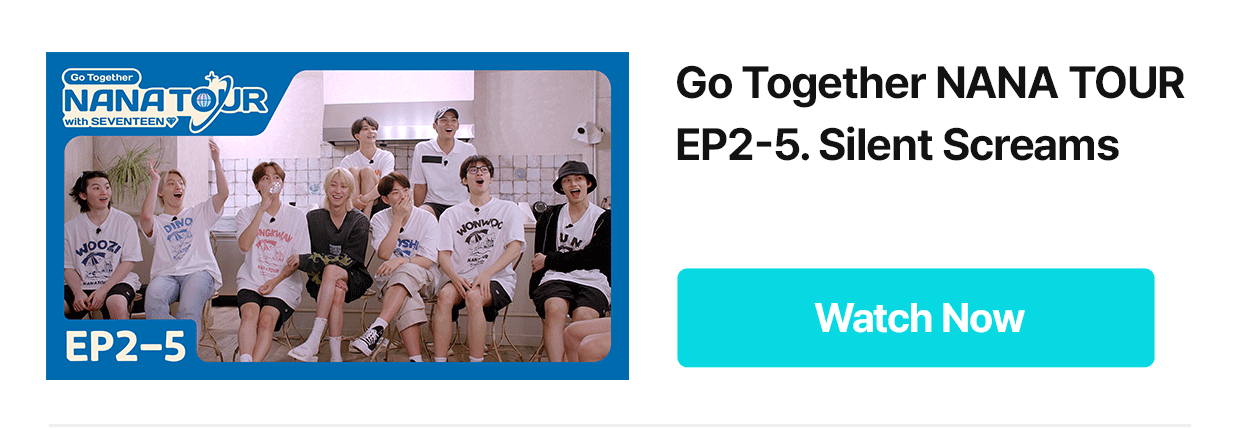 NANA TOUR With SEVENTEEN