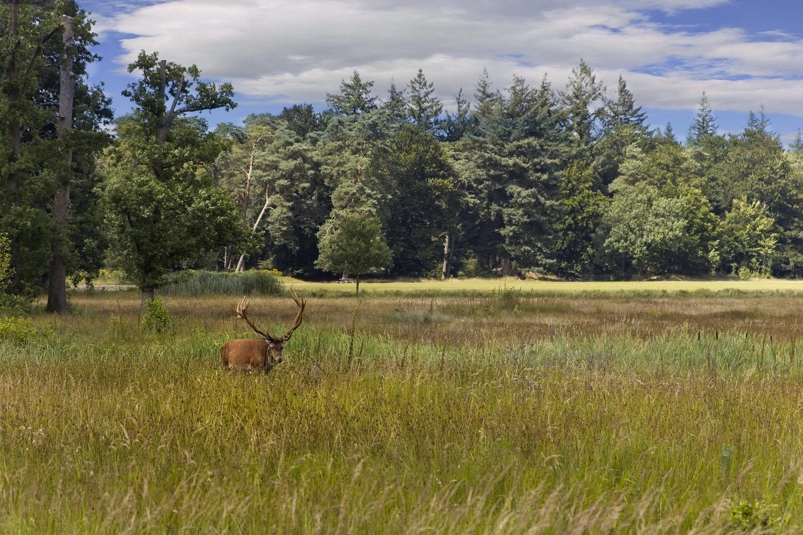 Nationaal Park Veluwezoom