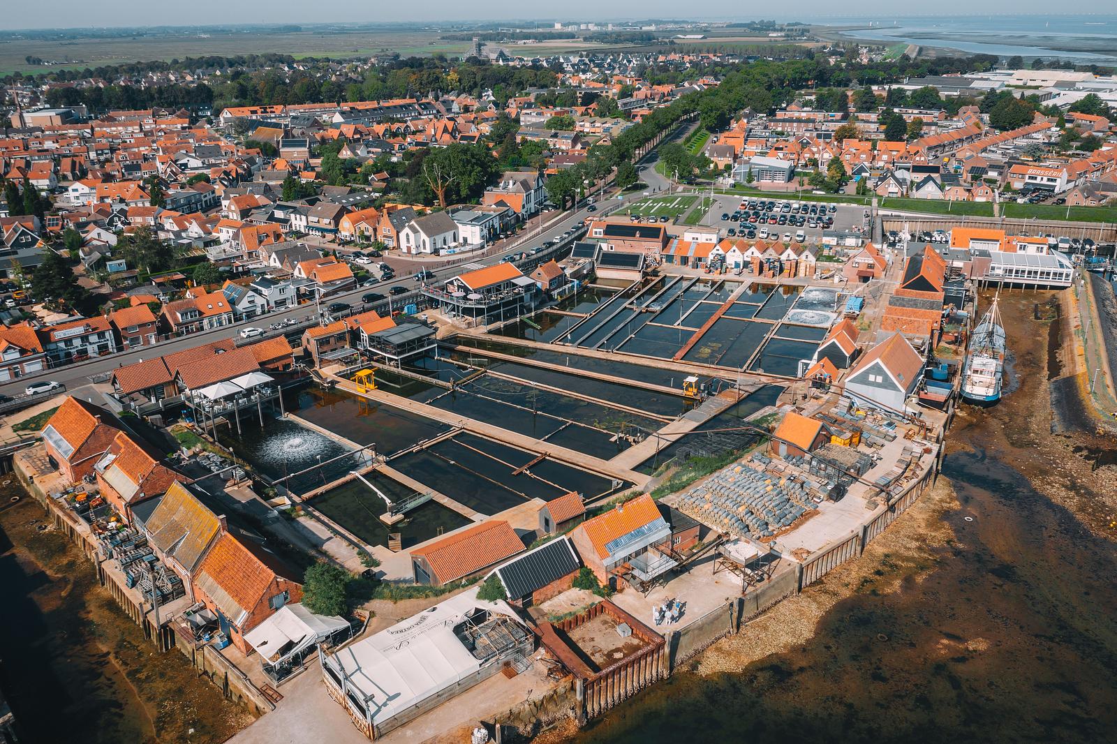 Yerseke en de oesterputten