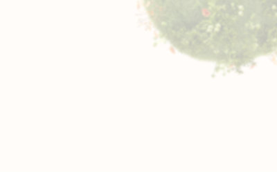 Surface Sustainability Data Smart Computers - HD Colorful Patterns for Desktop