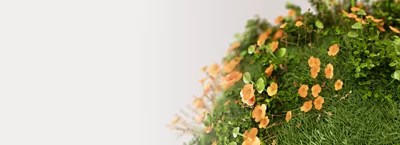 Surface Sustainability Data Smart Computers - Premium Dark Photo Gallery - 8K