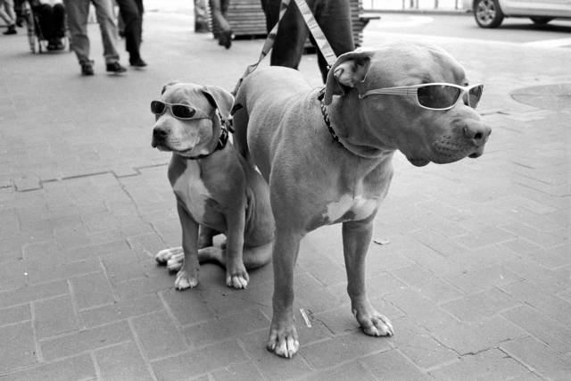 Troy Holden | Street Photographer In San Francisco