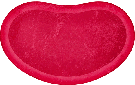 Home - English - International (10)