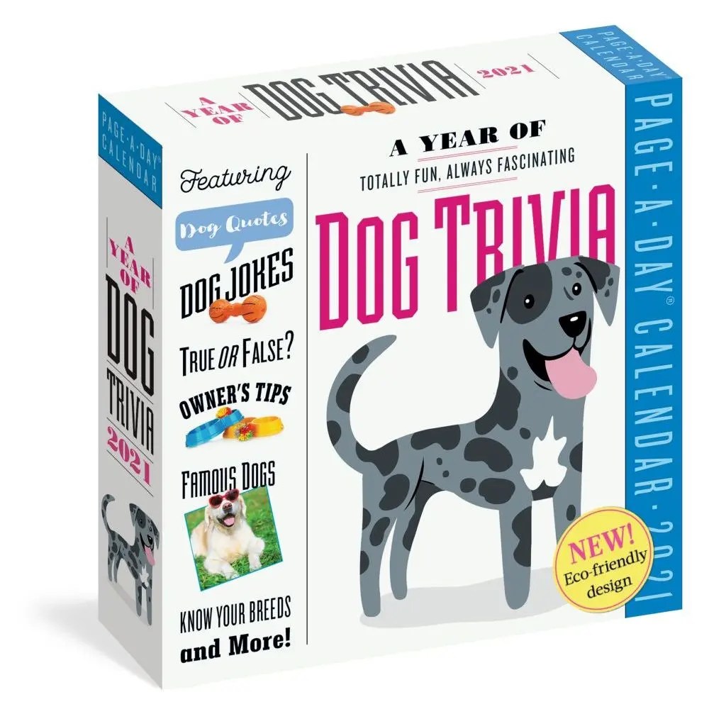Fun Labradors Calendar 2022 At Calendar Club Avanti Dogs Gone Wild 2022 12 x 12 Inch Monthly Square Wall Calendar.