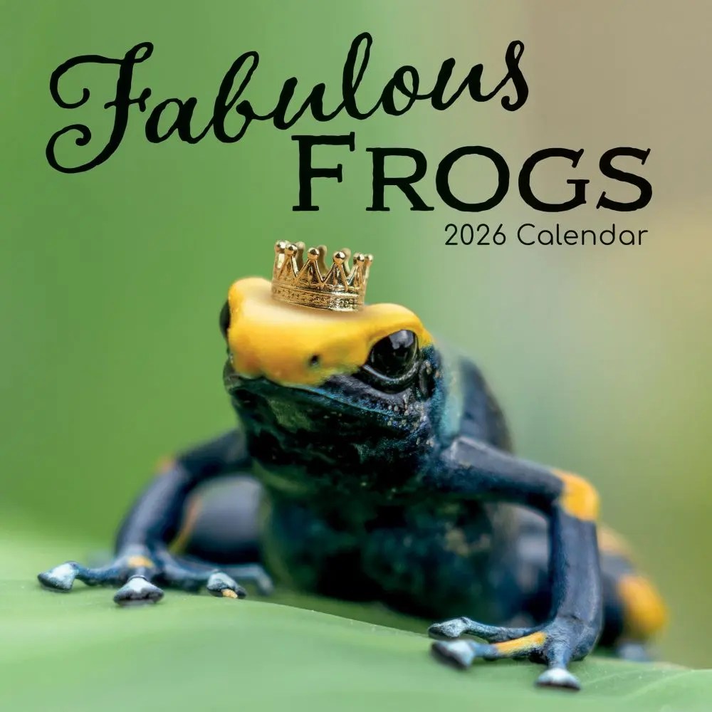 Fabulous Frogs 2026 Wall Calendar Calendars Com 23b6ecfb B52c 417d 9bf2