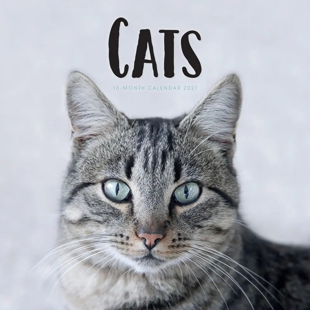 Cats wall calendar