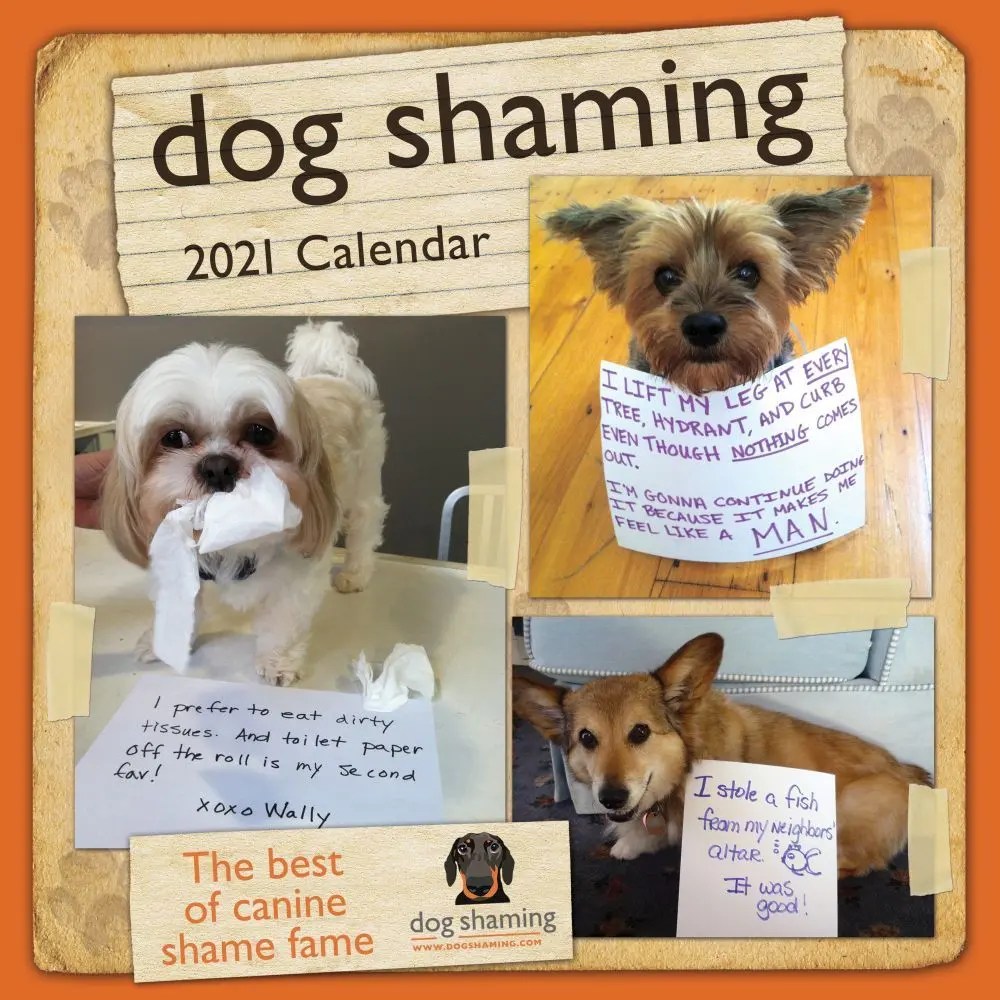 Dogs Gone Wild Calendar 2022 [Updated Calendar] 