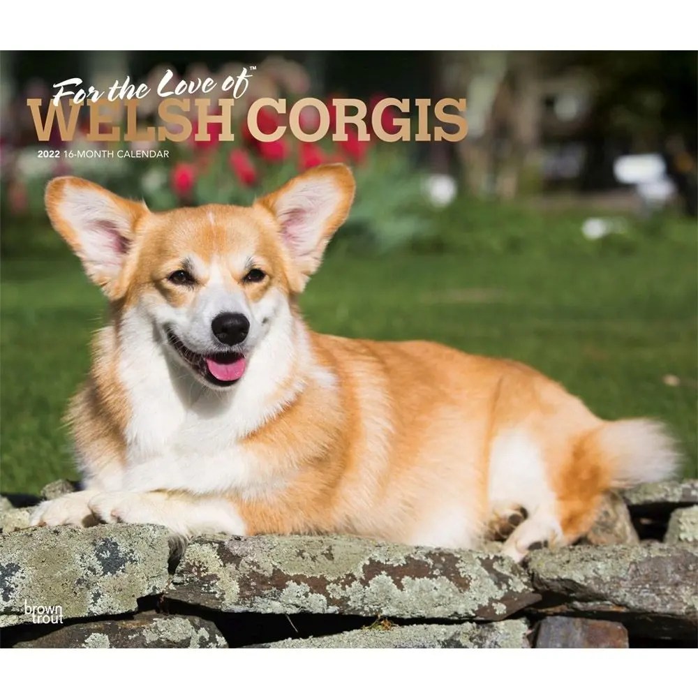Welsh Cis Wall Calendar Calendars The Just Corgis Desk Calendar is a must-have for lovers of this royal breed.