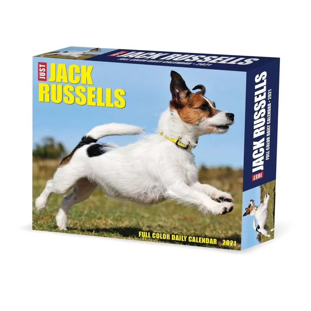 Just Jack Russells 2022 Wall Calendar Dog Breeds Willow Creek Press 9781549218538 Books All major public and culturally significant holidays.