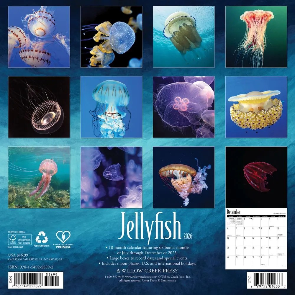 Jellyfish 2026 Wall Calendar Calendars Com Ea7d582f 20d6 4c48 B68f
