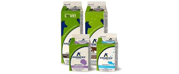 Adventure Pets Weasyl - High Quality Desktop Colorful Wallpapers | Free Download