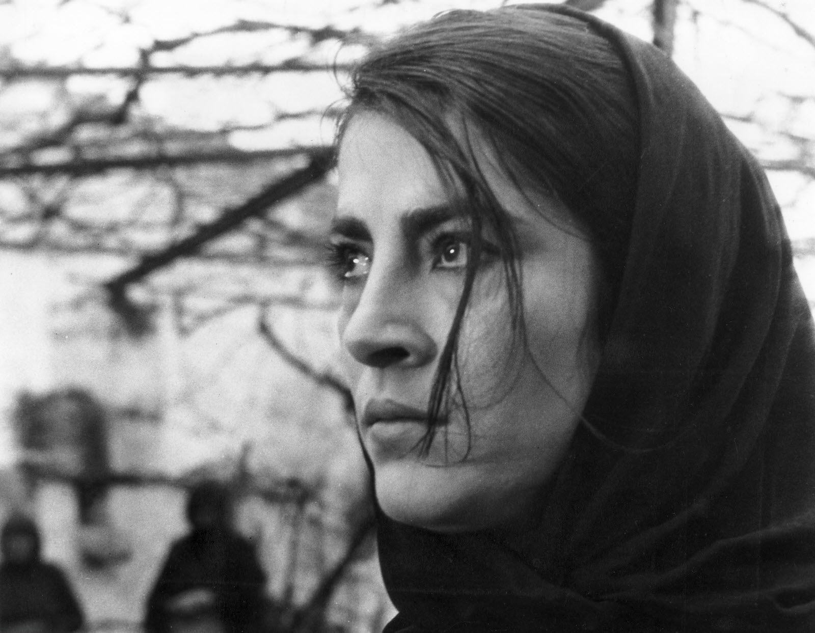 Décès de Irène Papas, la star de "Zorba le Grec" - 24H Algérie - Infos - vidéos - opinions.
