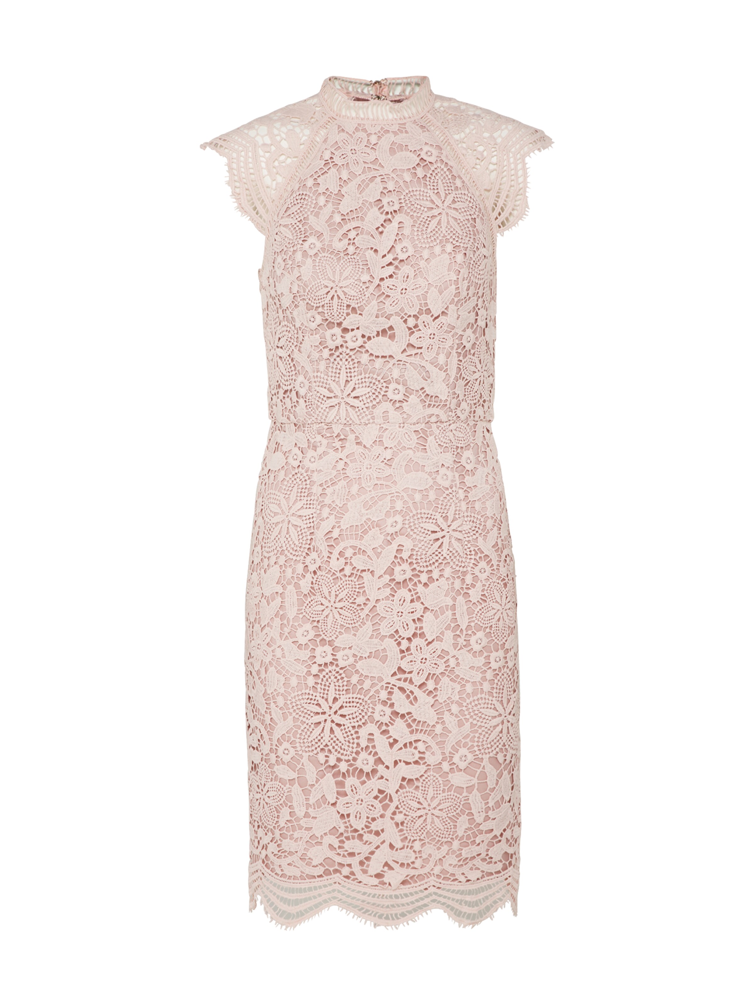 Chi Chi London Kleid Chi Chi Klaudia In Puder About You