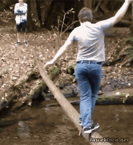 I have come across three persons in my life who had the same kind of behaviour. Gifs That Prove People Falling Is Funny (40 gifs)
